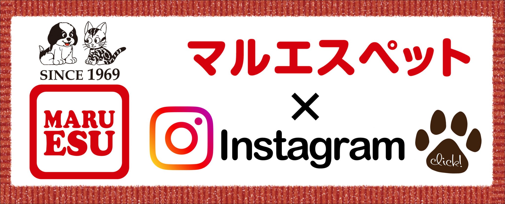 公式インスタ